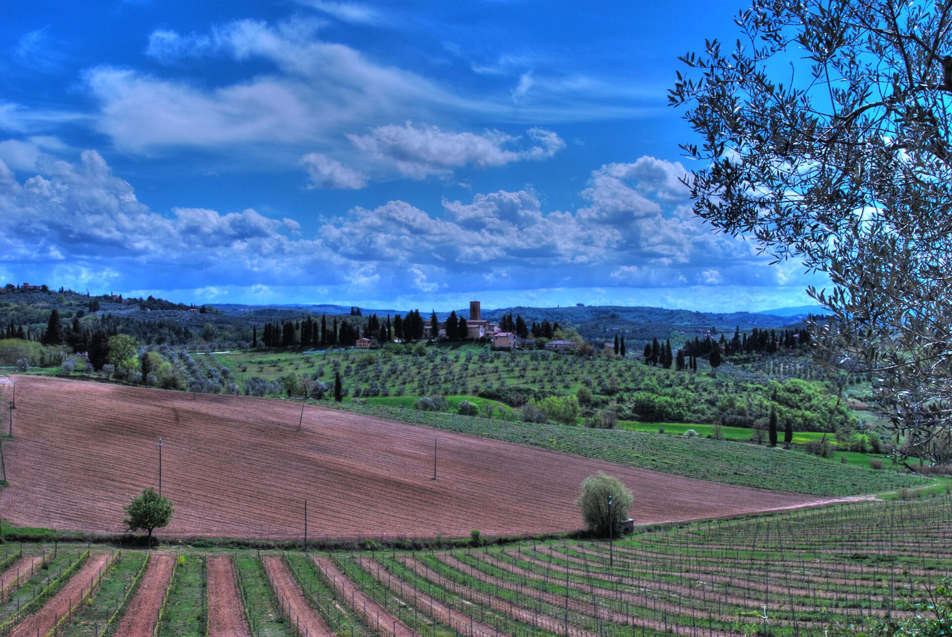 Tuscan vineyard and wine tasting